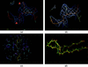 [Figure 4]