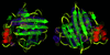 [Figure 5]