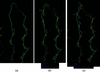 [Figure 7]