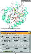 [Figure 1]