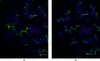 [Figure 2]