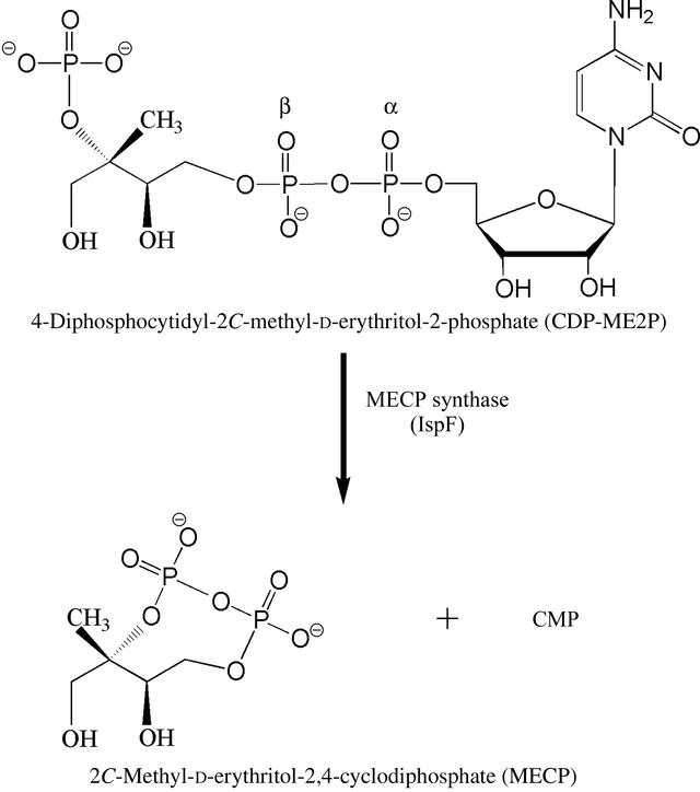 [Figure 1]