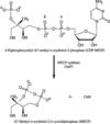[Figure 1]