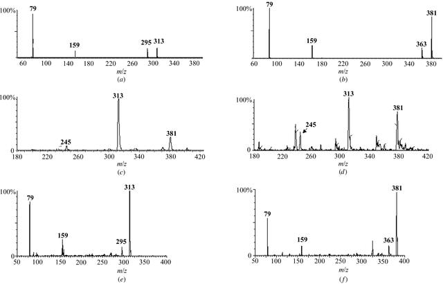 [Figure 4]