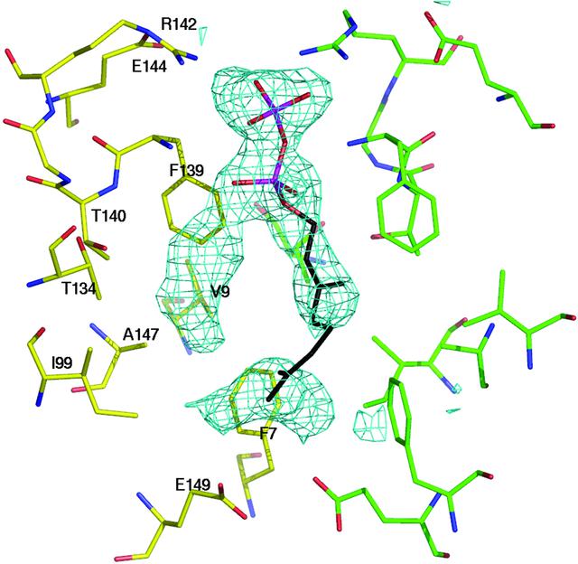 [Figure 5]
