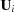 [{\bf U}_i]