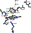 [Figure 4]