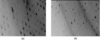 [Figure 1]