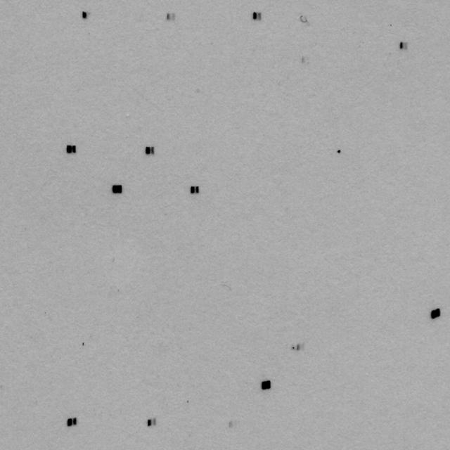 [Figure 4]