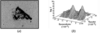[Figure 6]