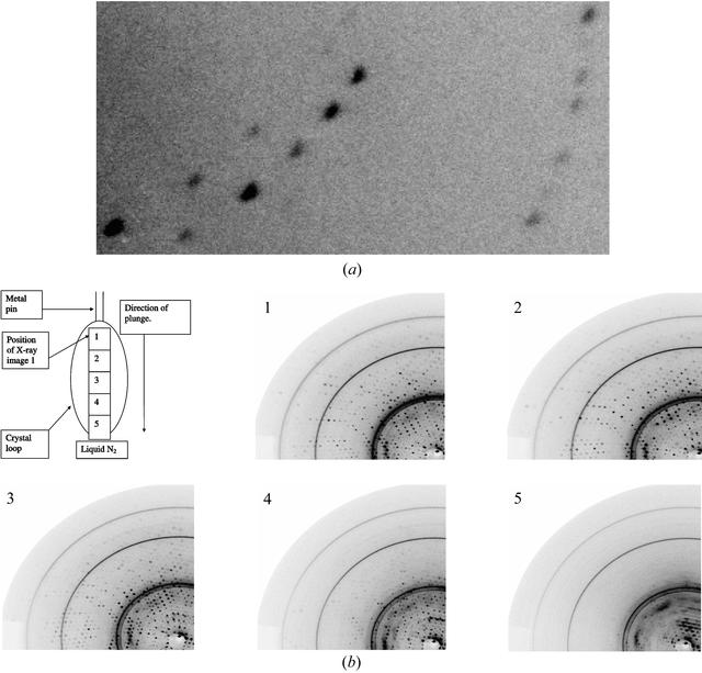 [Figure 7]