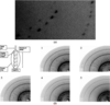 [Figure 7]