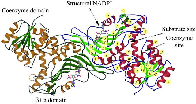 [Figure 1]