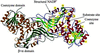 [Figure 1]