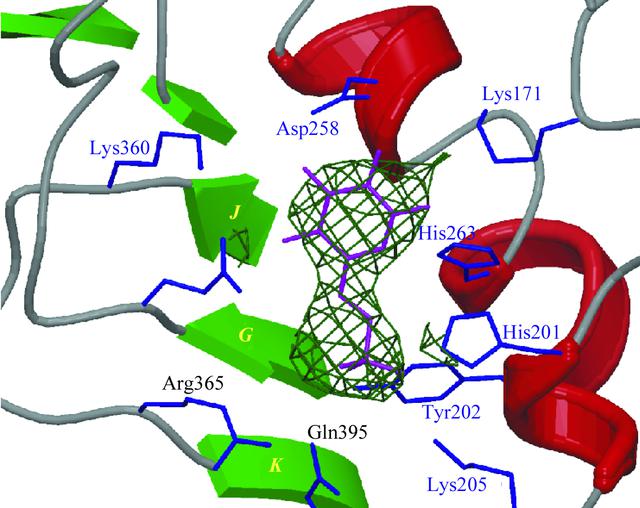 [Figure 2]