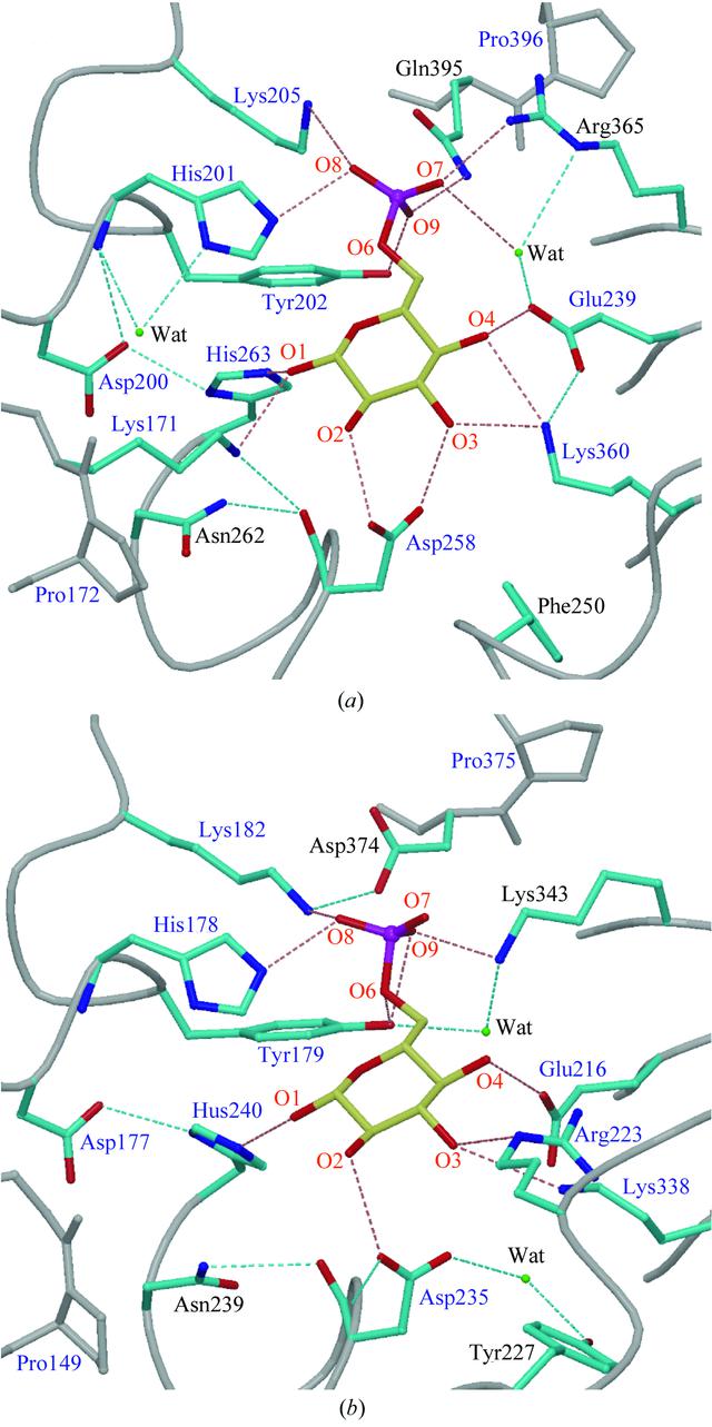 [Figure 3]