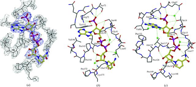 [Figure 4]