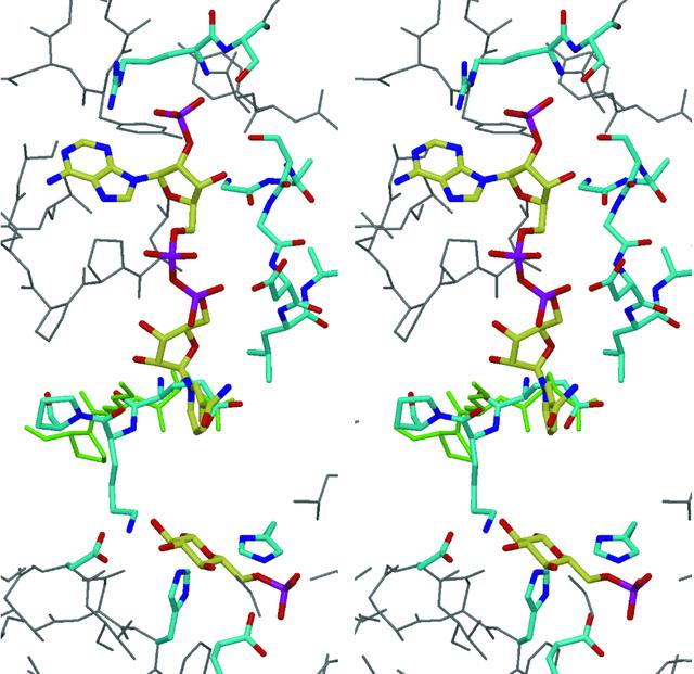 [Figure 5]