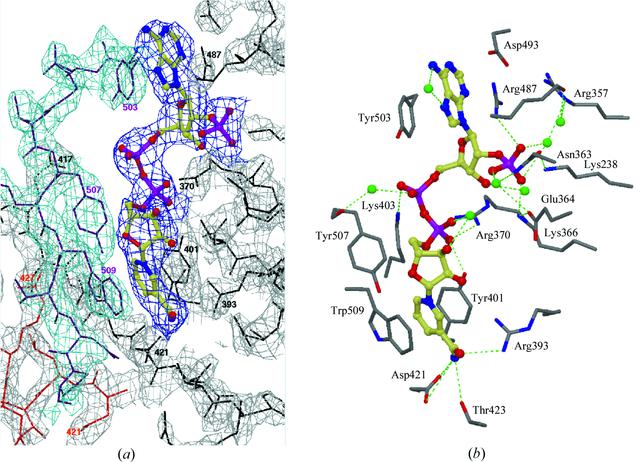 [Figure 6]