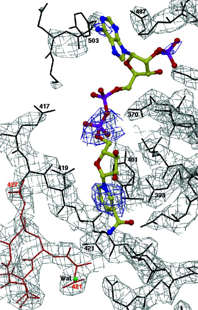 [Figure 7]