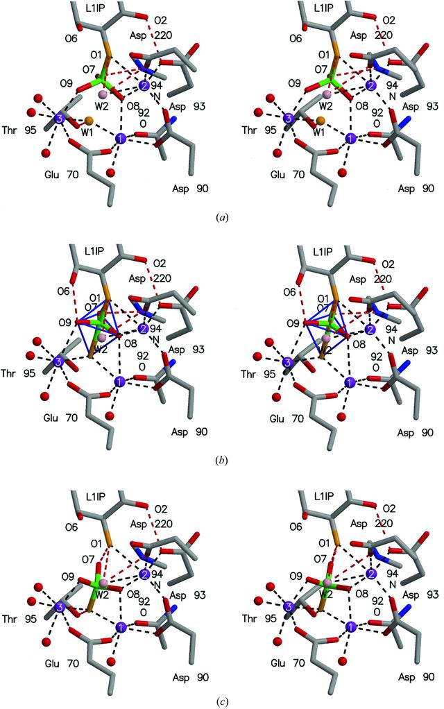 [Figure 5]