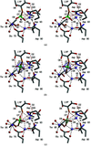 [Figure 5]