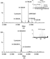 [Figure 2]