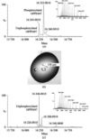 [Figure 3]