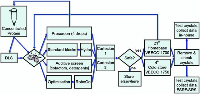 [Figure 1]