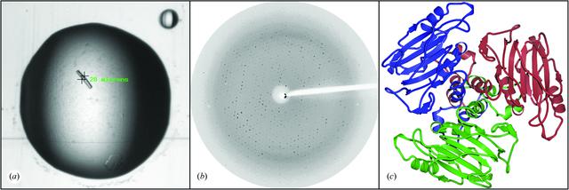 [Figure 2]