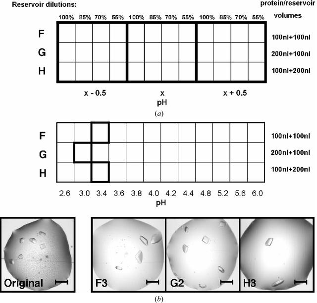 [Figure 4]