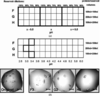 [Figure 4]