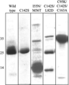 [Figure 1]