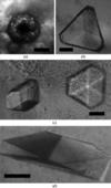 [Figure 2]
