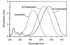 [Figure 4]