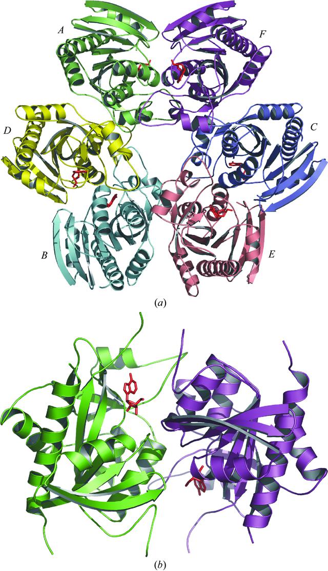 [Figure 3]