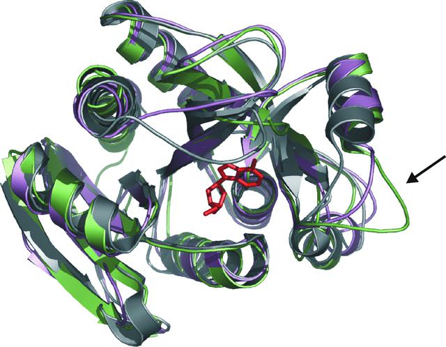 [Figure 4]