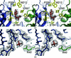 [Figure 5]