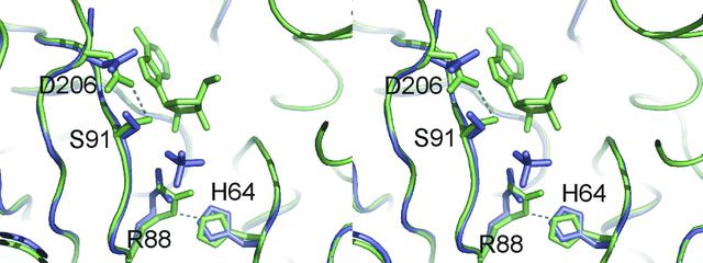 [Figure 6]