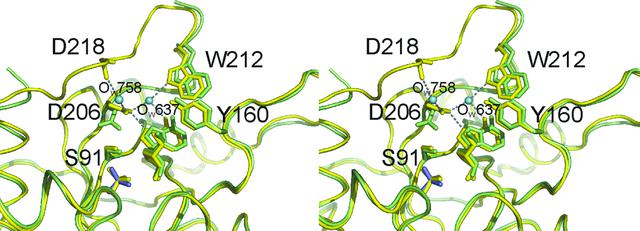 [Figure 7]