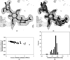 [Figure 1]