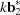 [k{\bf b}_2^*]