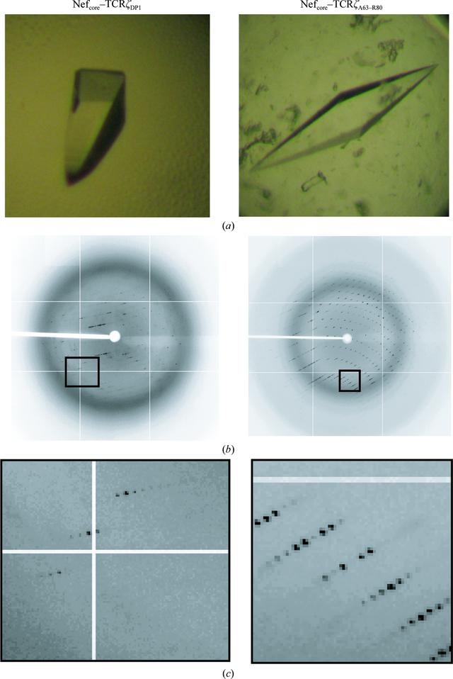 [Figure 2]