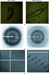 [Figure 2]