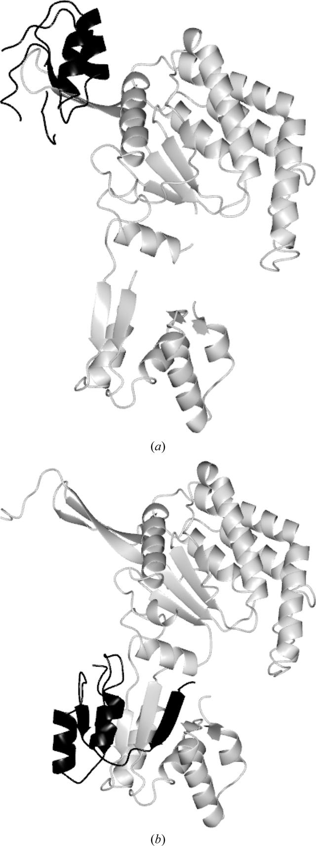 [Figure 4]