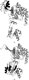 [Figure 4]