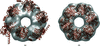 [Figure 4]