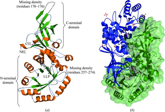 [Figure 1]
