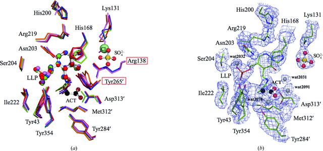 [Figure 4]