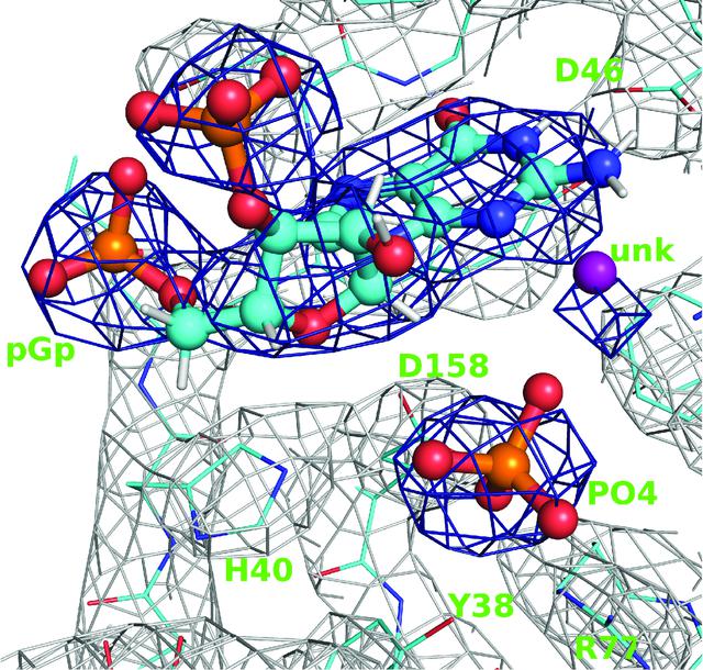 [Figure 6]